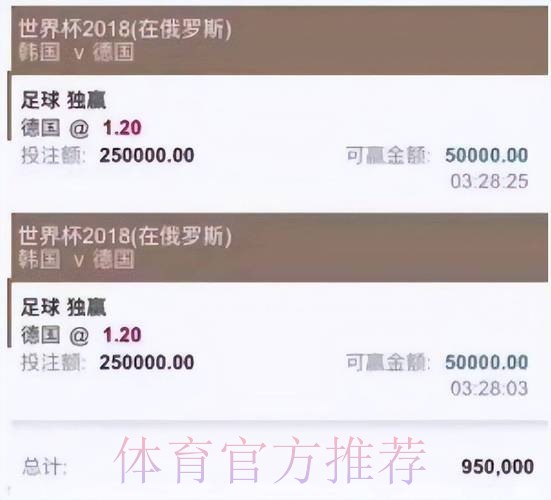 世界杯投注平台精选与最新网址深度解析